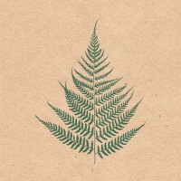 Serviette "Fern Leave" recycled 33 x 33 cm 20er Packung