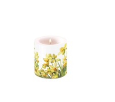 Kerze Small "Golden Daffodils" H 9cm x D 7,5cm